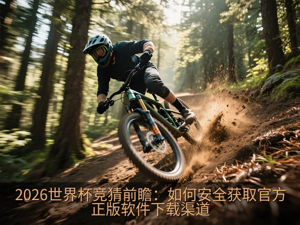数字安全校验与代码哈希值图解